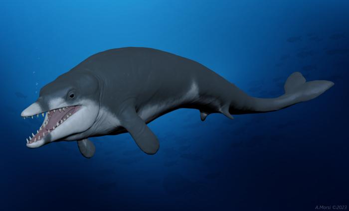 Tutcetus rayanensis: Life Reconstruction in the Ancient Tethys Ocean