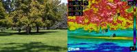 Thermal images of Sugar House park