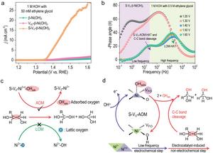 Catalyst function involving C–C bond cleavage of S-VO-β-Ni(OH)2 in polyol electrooxidation