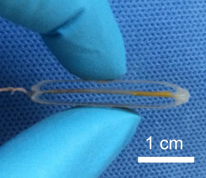 Powering a Pacemaker with a Patient's Heartbeat