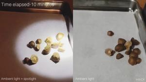 High-speed comparison of jumping beans in different light