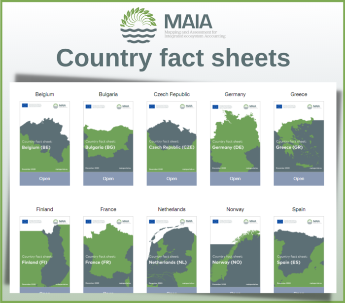 MAIA Country fact sheets