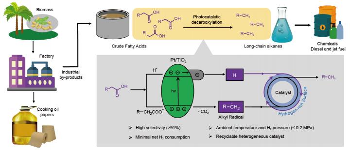 Schematic Representation of Photocatalytic Decarboxylation Strategy for Alkane Production from Bioma