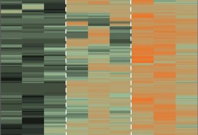 Your Eye and Disease