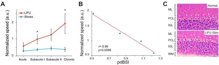 Validation of motor function recovery and delta wave correlation and safety