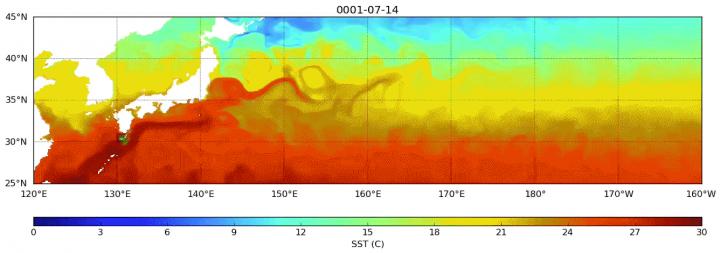 Sea turtle dispersion in a high-resolution ocean model