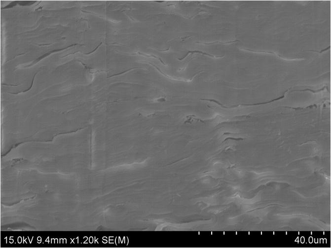 Passive radiative cooling in delignified wood eurekalert 