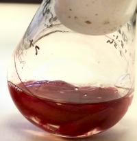 Red Liquid in a Glass Container