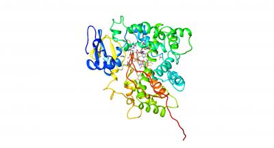 Bacteria Used as Factories to Produce Cancer Drugs