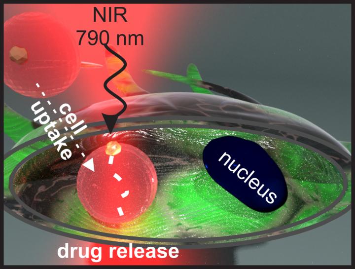 Drug Release