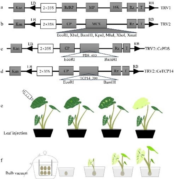 Fig.1