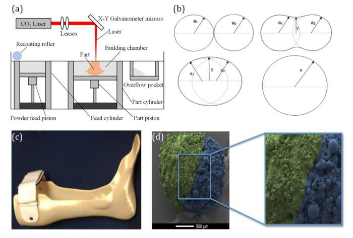 Fundamental aspects and applications of SLS of polymers