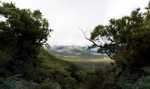 Fiji highlands