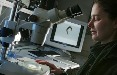 Dr. Kim Zarse, Friedrich-Schiller-Universitaet Jena