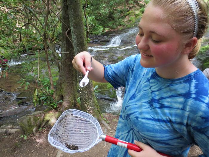 Collecting dragonfly larvae for mercury analysis