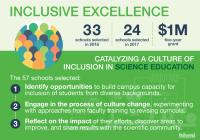 Inclusive Excellence Initiative