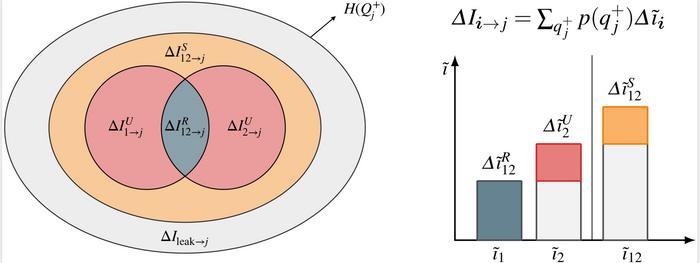 The SURD method for determination of causality