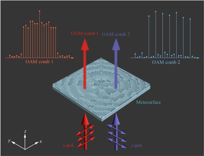 Schematic diagram of double-polarized terahertz vortex combs.