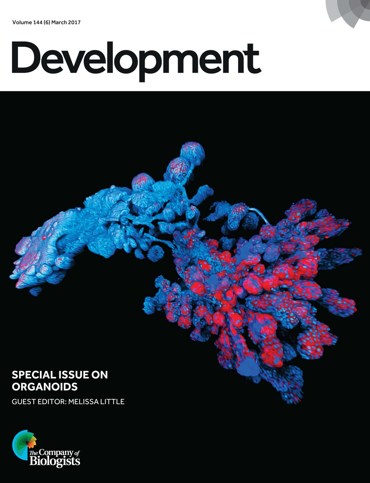 Development Special Issue on Organoids
