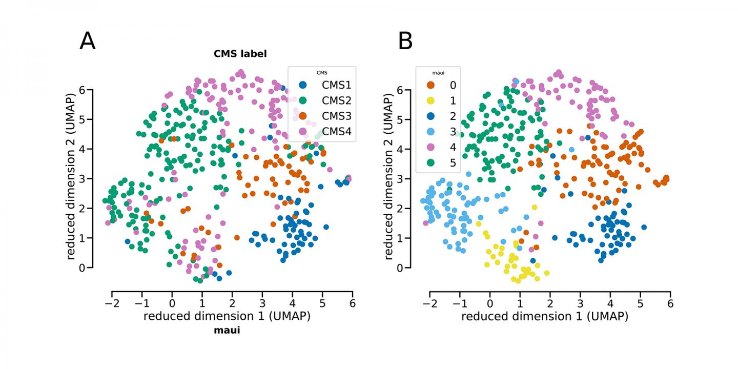 Subtypes of Tumor Samples