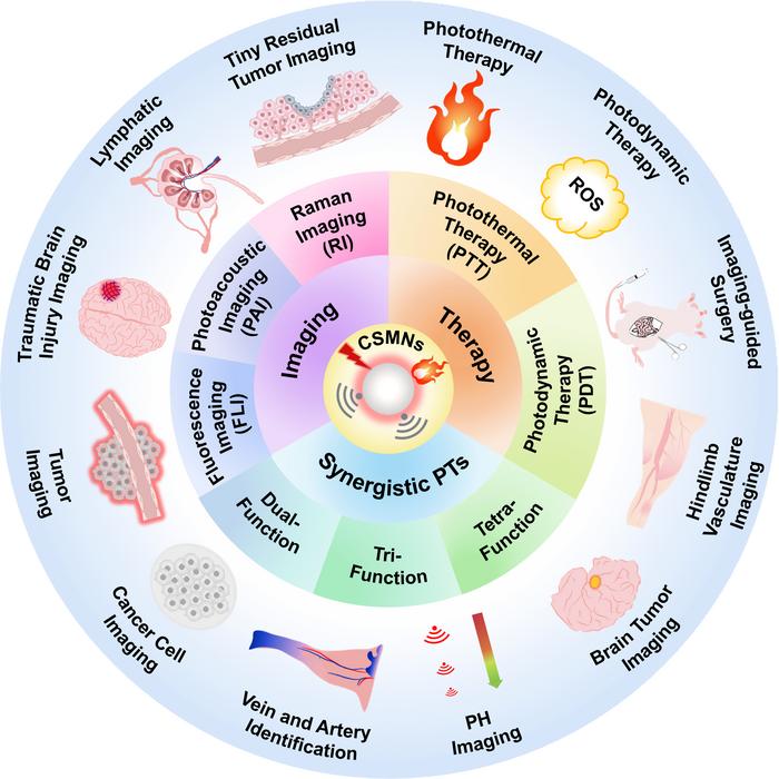 Figure 1. CSMNs for photo-diagnostic technologies (FLI, PAI, and RI) and phototherapies (PTT and PDT).
