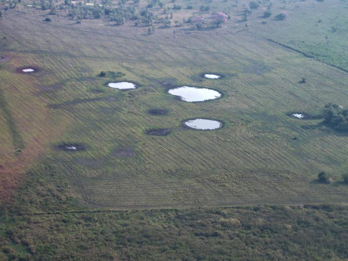 Ponds from airplane