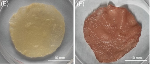 New edible ink for 3D-printing cultured meet