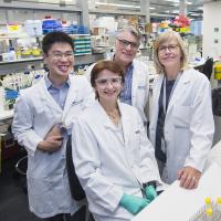 Walter and Eliza Hall Institute Immunology Research Team