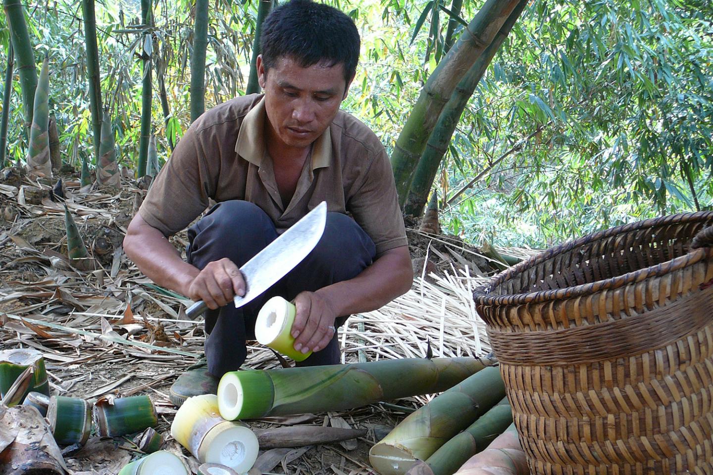 Farmer in China