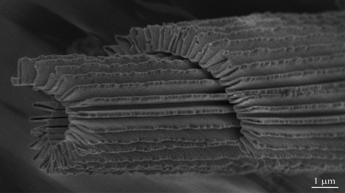 Nanoscale Image of a Transparent, Stretchable, Conductor