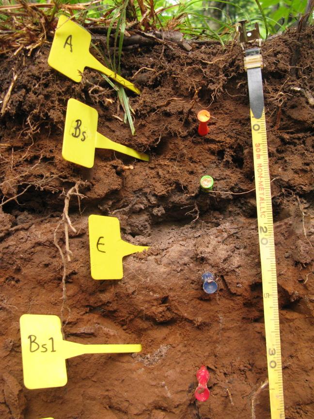 New Way of Analyzing Soil Organic Matter Will Help Predict Climate Change
