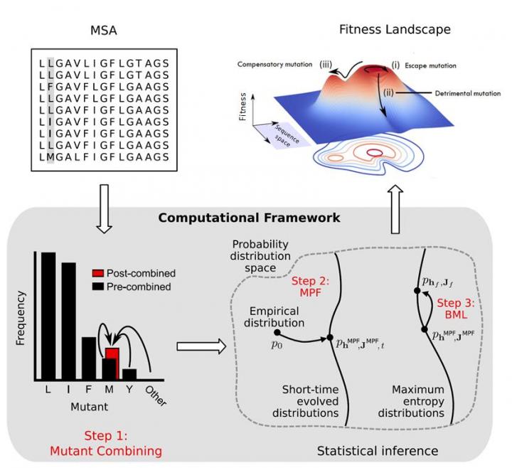 Computational Method