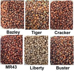 Six sorghum cultivars