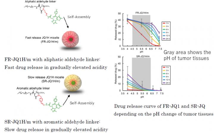 Fig. 1: Different drug release profile depending on the linker used for block-copolymers of nano-micelles