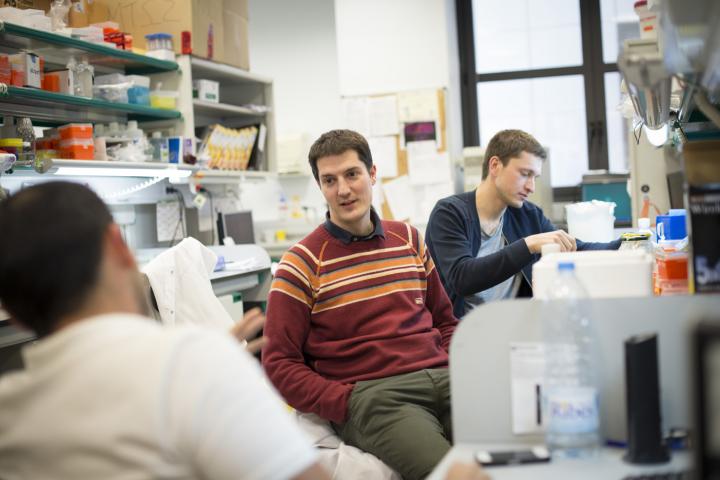 Roger Gomis, IRB Barcelona