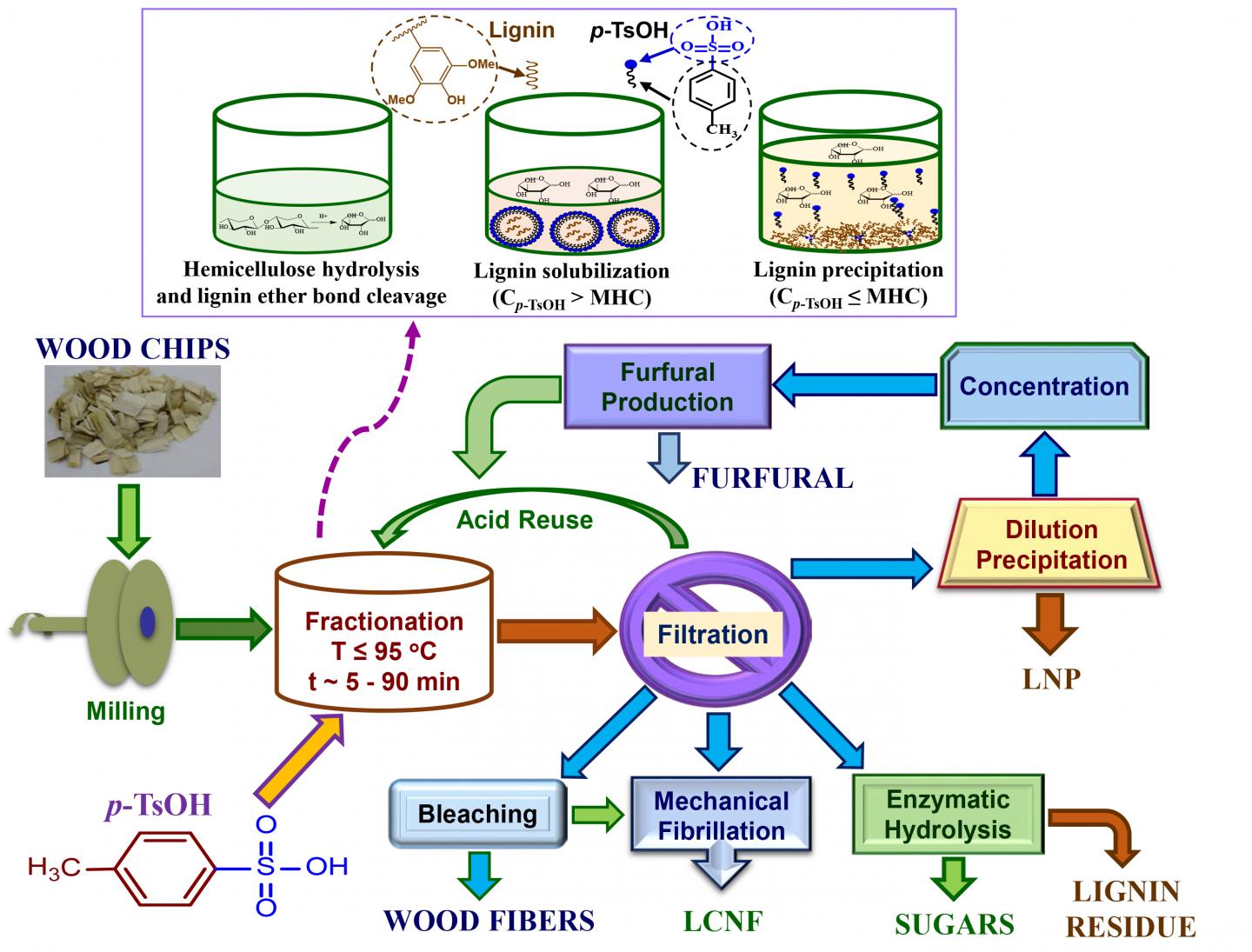 A CostEffective Way to Quickly Dissolve Wood EurekAlert!