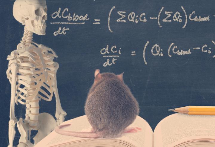 How Math Could Make Bones Stronger