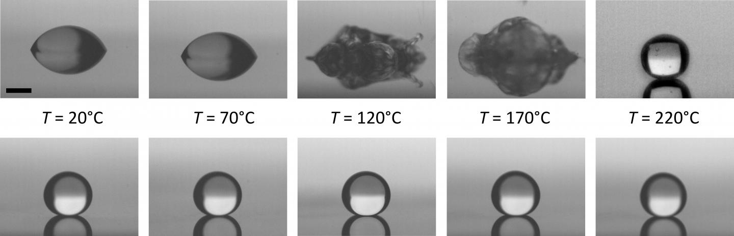 The Lack of Adhesion Underlying a 'Cold' Leidenfrost Regime (1 of 3)