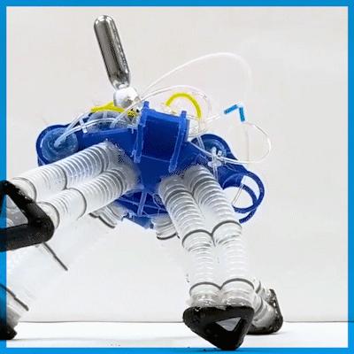 GIF of the robot walking