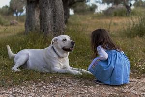 Matters of development and experience: Evaluation of dog and human emotional expressions by children and adults