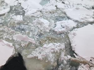 Sea Ice Closeup