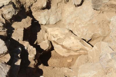 Precision Chronology