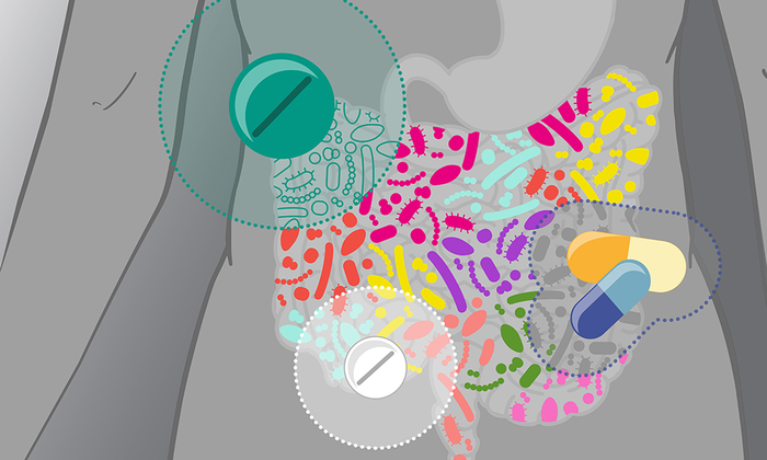 Commonly prescribed drugs can affect gut microbes in different ways.