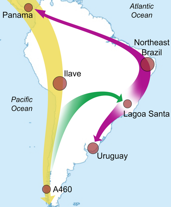 Map - Summary of Migrations