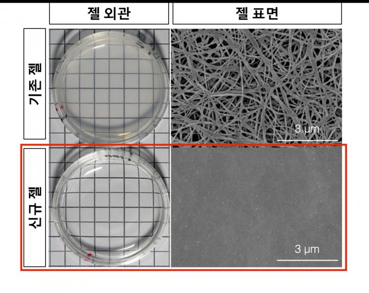 Shape and Surface of Collagen Gel Observed under Electronic Microscope