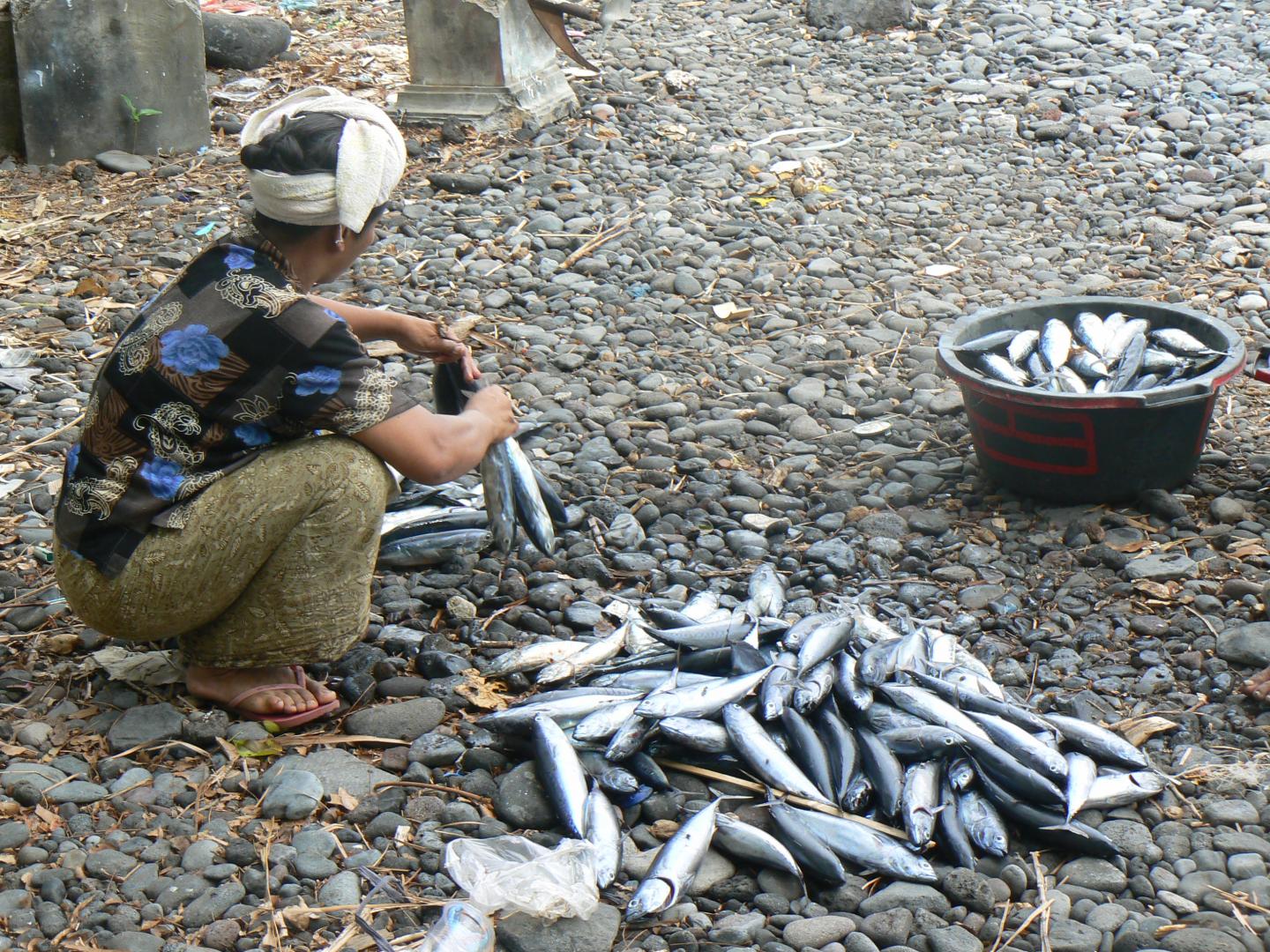 Woman Works in Fishing Village, Indonesia