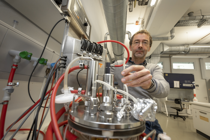 Bernd Nidetzky and his team have succeeeded in the biocatalysis of pseudouridine