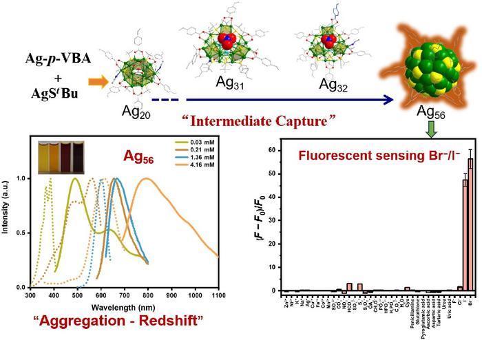 Silver Clusters: Synthesis, Unique Fluorescence Aggregation-Redshift Phenomenon, and Sensing Applications for Br−/I−.