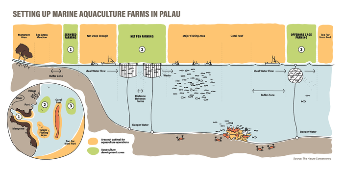 A marine aquaculture project