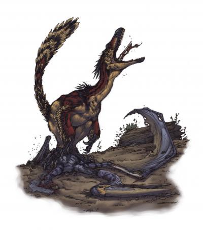 <I>Velociraptor</I> Scavenging the Carcass of a <I>Pterosaur</I>